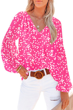 Rose Casual Floral Print V Neck Long Sleeve Blouse