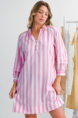 Rose Striped Long Sleeve Buttons Loose Mini Dress