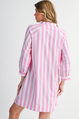 Rose Striped Long Sleeve Buttons Loose Mini Dress