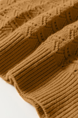 Jurassic Gold Hollow Out Crochet Ribbed Edge Balloon Sleeve Sweater