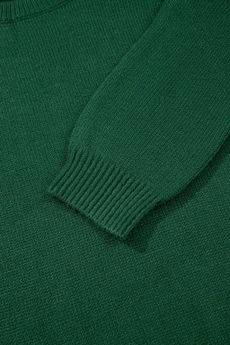 Evergreen Plain Raglan Sleeve Crew Neck Sweater