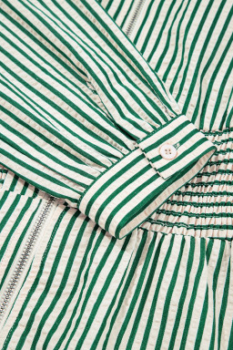 Green Striped V Neck Zip Front Cinched High Waist Midi Dress