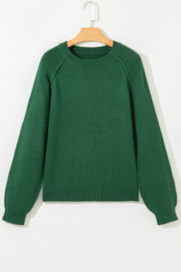 Evergreen Plain Raglan Sleeve Crew Neck Sweater