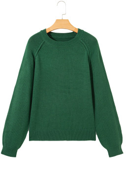 Evergreen Plain Raglan Sleeve Crew Neck Sweater