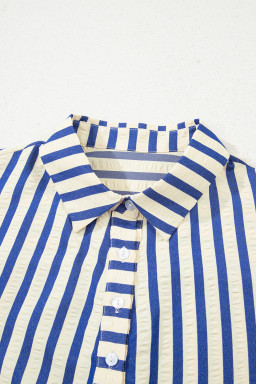 Blue Striped Collared Half Button Side Pockets Loose Fit Mini Dress