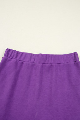 Wisteria Half Zip Sporty Pullover Mini Skort 2pcs Outfit