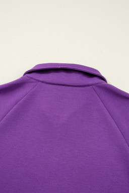 Wisteria Half Zip Sporty Pullover Mini Skort 2pcs Outfit