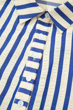 Blue Striped Collared Half Button Side Pockets Loose Fit Mini Dress