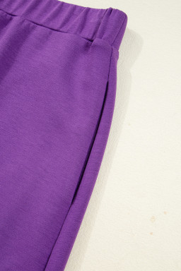 Wisteria Half Zip Sporty Pullover Mini Skort 2pcs Outfit