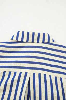 Blue Striped Collared Half Button Side Pockets Loose Fit Mini Dress