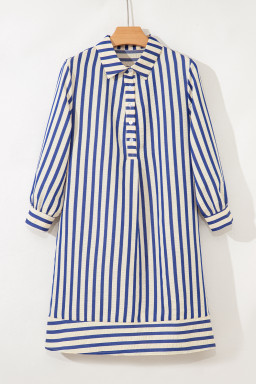 Blue Striped Collared Half Button Side Pockets Loose Fit Mini Dress