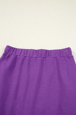 Wisteria Half Zip Sporty Pullover Mini Skort 2pcs Outfit