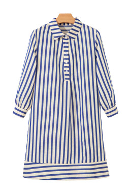 Blue Striped Collared Half Button Side Pockets Loose Fit Mini Dress