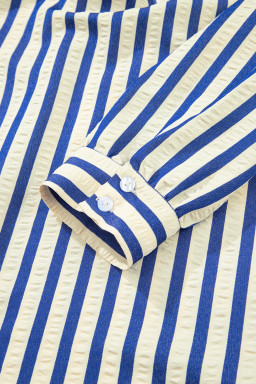 Blue Striped Collared Half Button Side Pockets Loose Fit Mini Dress