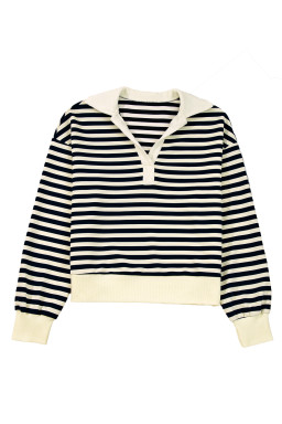 Blue Striped Long Sleeve V Neck Top
