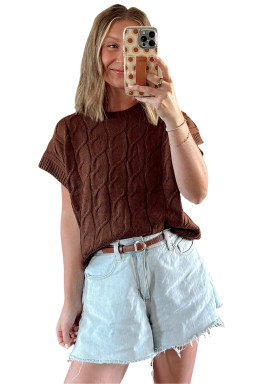 Dark Brown Cable Texture Crew Neck Short Sleeve Sweater Top