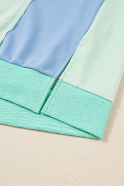 Green Color Block Floral Patchwork Long Sleeve Notched Neck Plus Size Top