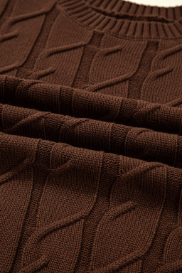 Dark Brown Cable Texture Crew Neck Short Sleeve Sweater Top
