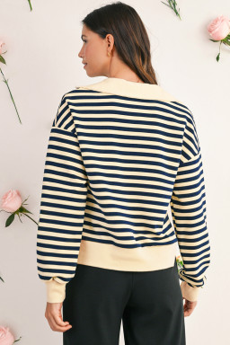 Blue Striped Long Sleeve V Neck Top