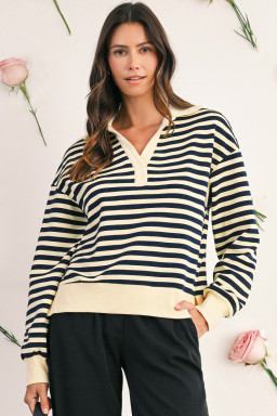 Blue Striped Long Sleeve V Neck Top