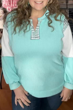 Aruba Blue Twist Ribbed Colorblock Plaid Patchwork Plus Size Top