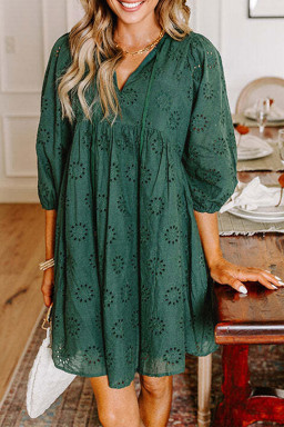 Blackish Green Embroidered Eyelet Pattern Puff Sleeve Mini Dress