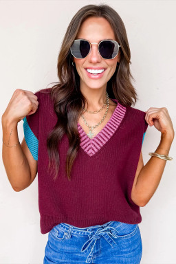 Burgundy Contrast Trim V Neck Cuffed Short Sleeve Loose Sweater