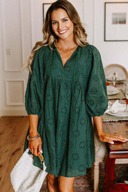 Blackish Green Embroidered Eyelet Pattern Puff Sleeve Mini Dress