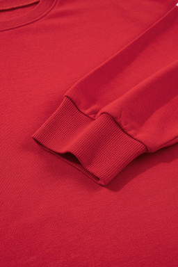 Fiery Red Varsity Striped Detail Plus Size Round Neck Sweatshirt