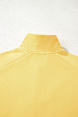 Yellow Cream Embroidered Flower Patchwork Snap Buttons Pullover Sweatshirt