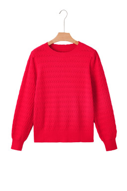 Fiery Red Trendy Pattern Knit Ribbed Cuffs Crew Neck Sweater