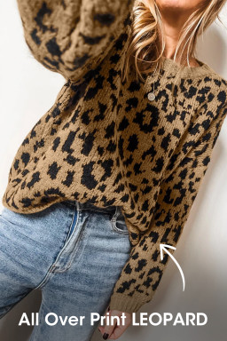 Light French Beige Leopard Round Neck Long Sleeve Sweater