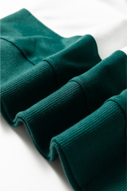 Evergreen Colorblock Drop Shoulder Baggy Sweatshirt