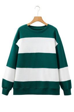 Evergreen Colorblock Drop Shoulder Baggy Sweatshirt