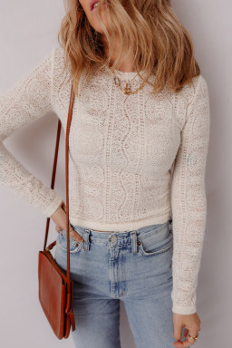 Jet Stream Semi Sheer Lace Long Sleeve Cropped Top