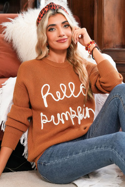 Flamingo Hello Pumpkin Graphic Sweater