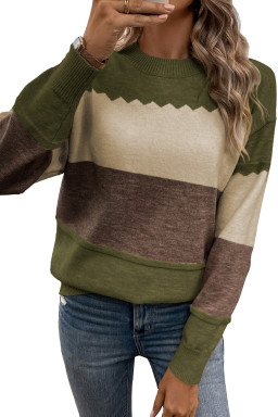 Brown Colorblock Crew Neck Drop Shoulder Sweater