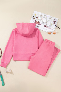 Pink Solid Color Zip Up Hoodie Drawstring Loose Pants Set