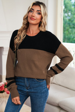 Dark Brown Colorblock Striped Sleeve Detail Knit Sweater