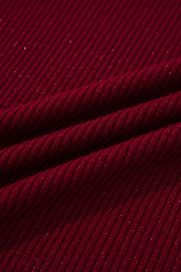 Red Dahlia Metal Ribbed Knit Long Sleeve Slim Fit Top