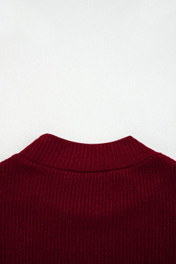 Red Dahlia Metal Ribbed Knit Long Sleeve Slim Fit Top
