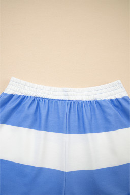 Sky Blue Stripe Seam Detail Half Zip Tee Casual Shorts 2pcs Set