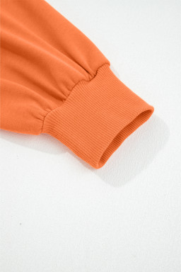 Flamingo Drop Shoulder Crop Pullover Drawstring Wide Leg Pants Set