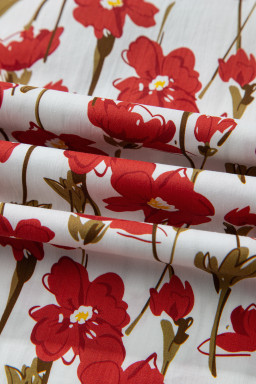 Red Floral Print Contrast Trim V Neck Double Ruffled Short Sleeve Blouse