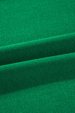 Blackish Green Contrast Trim Half Sleeve Top Drawstring Pants Loose 2pcs Sweater Suit