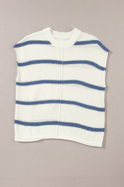 Blue Striped Batwing Sleeve Sweater Tee