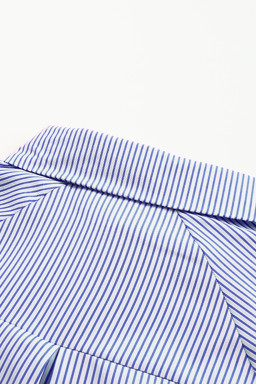 Blue Stripe Striped Casual Shirred Cuffs Shirt