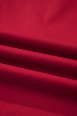 Fiery Red Striped Frilled Collar Ruffled Short Sleeve Blouse