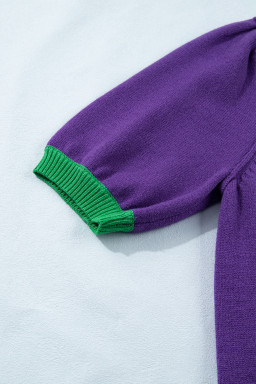 Tillandsia Purple Mardi Gras Tinsel Graphic Short Sleeve Sweater