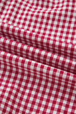 Red Contrast Trim Plaid Print Plus Size Shorts